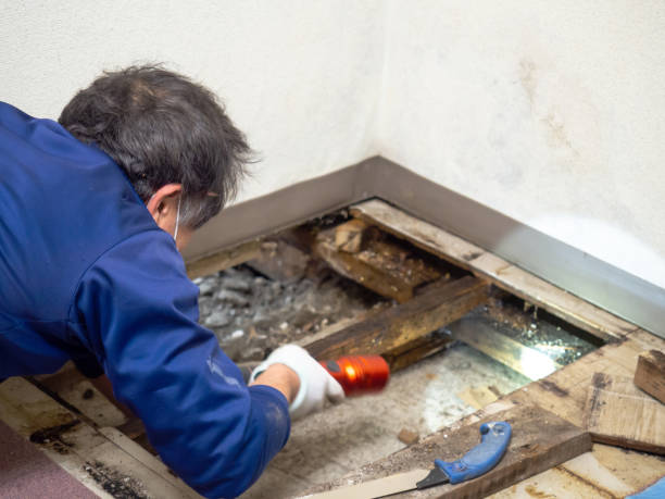 Best Water Damage Restoration  in West Milton, PA