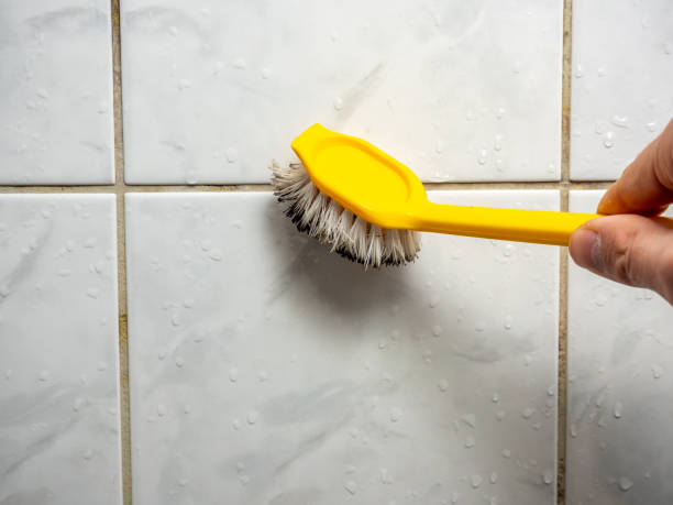 Best Mold Testing  in West Milton, PA