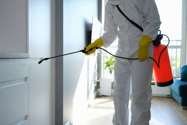 Mold Removal and Inspection in West Milton, PA