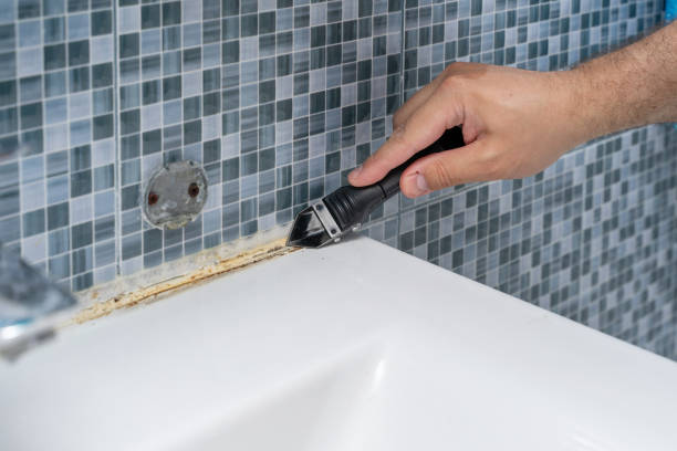Best Best Mold Removal Companies  in West Milton, PA
